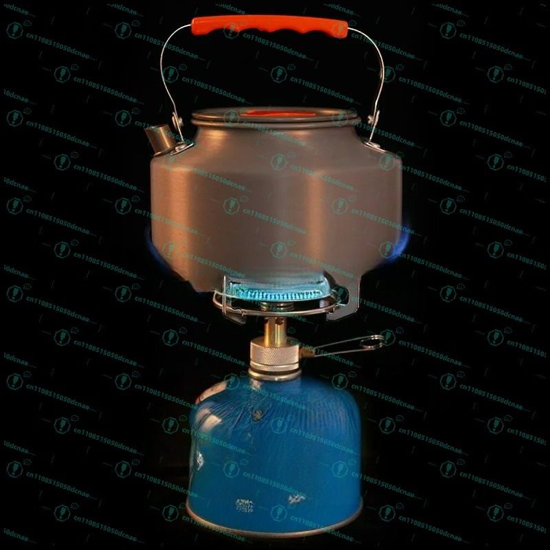 Outdoor gas stove, plate type, - огляд і ціна Outdoor Gas Stove