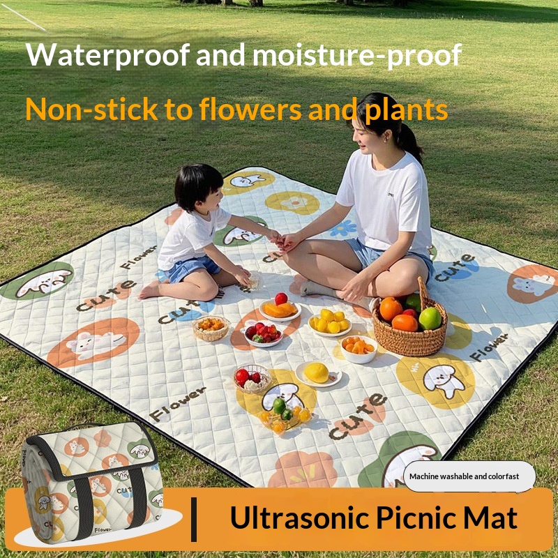 Spring Thickened Picnic Mat Wa - огляд і ціна Outdoor Camping Mats Large