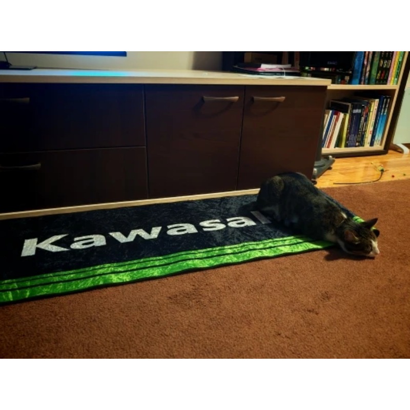 Kawasaki Motorcycle Carpet Gar - огляд і ціна Camping Quad