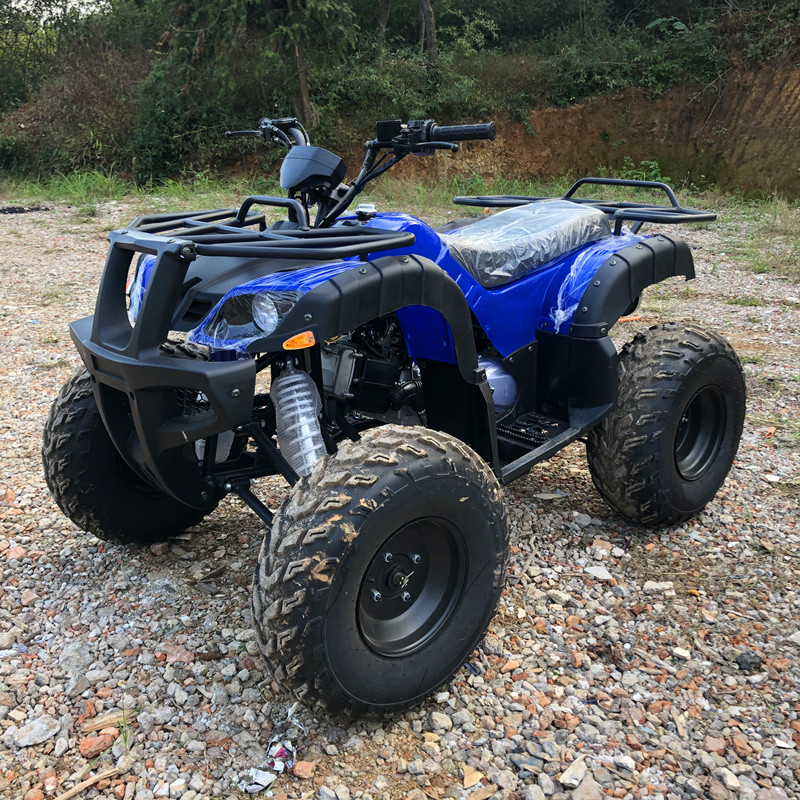 Electric 4 Seater 4WD 4-Stroke - огляд і ціна Camping Quad